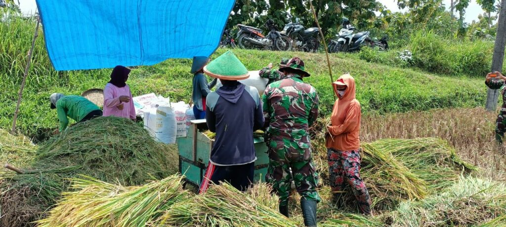 WhatsApp Image 2021-03-25 at 08.39.32