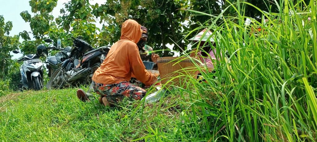 WhatsApp Image 2021-03-25 at 08.39.56