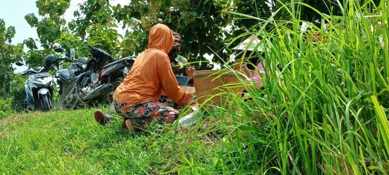 WhatsApp Image 2021-03-25 at 08.39.56