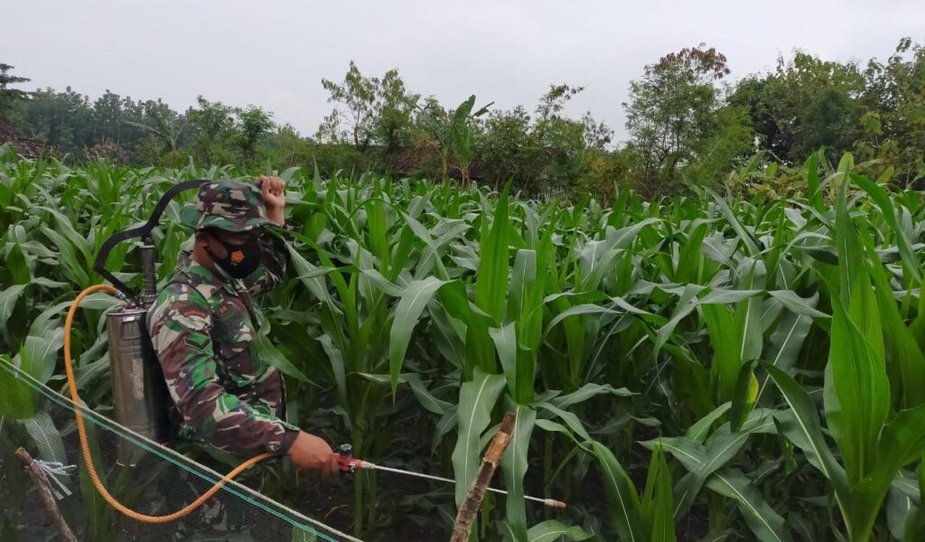 WhatsApp Image 2021-03-25 at 08.40.20