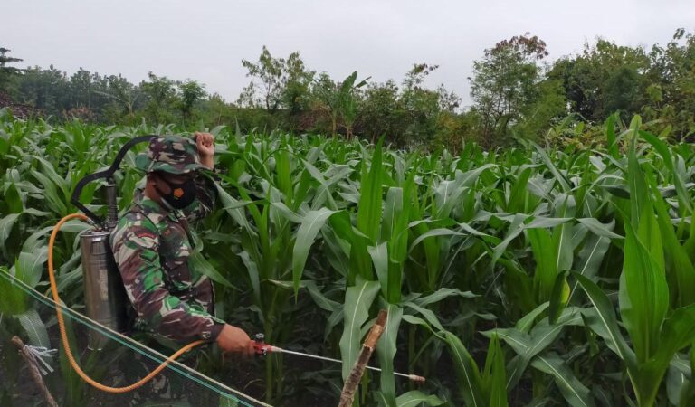 WhatsApp Image 2021-03-25 at 08.40.20