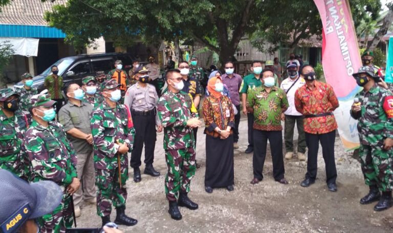 WhatsApp Image 2021-03-25 at 08.40.42