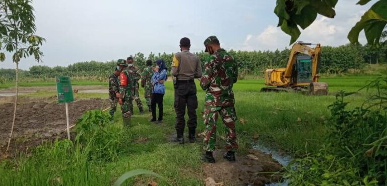 WhatsApp Image 2021-03-25 at 08.43.25