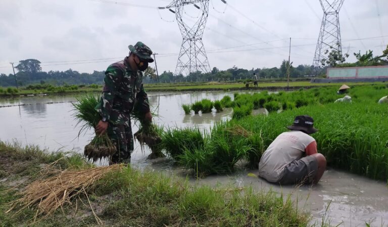 WhatsApp Image 2021-03-25 at 08.43.50