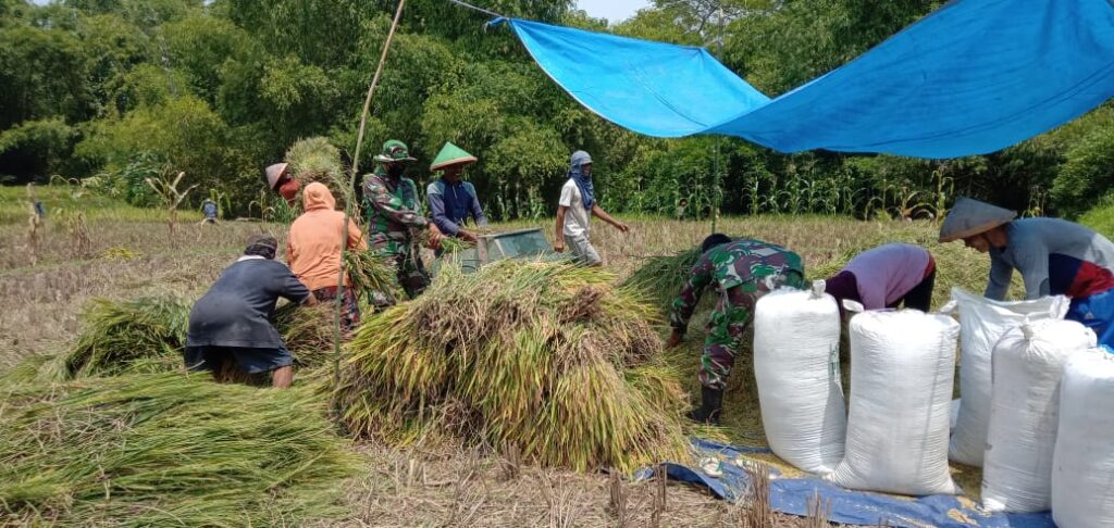 WhatsApp Image 2021-03-25 at 08.51.45