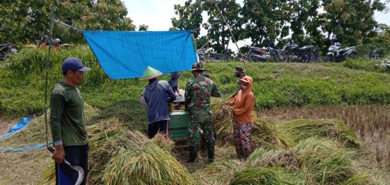 WhatsApp Image 2021-03-25 at 08.52.10