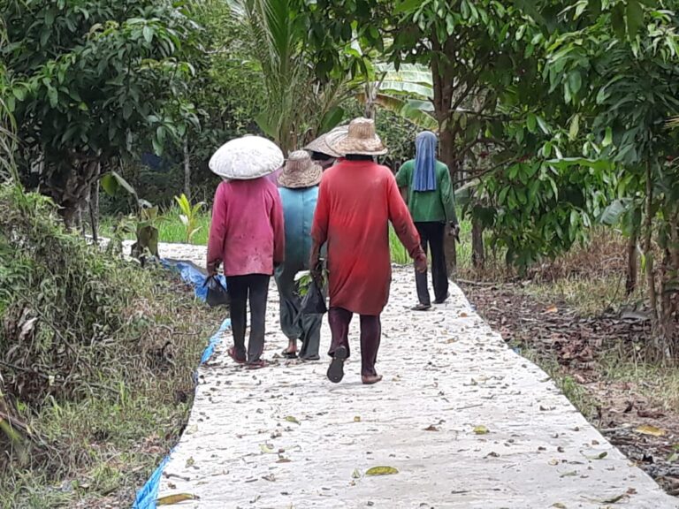 WhatsApp Image 2021-03-26 at 06.13.48