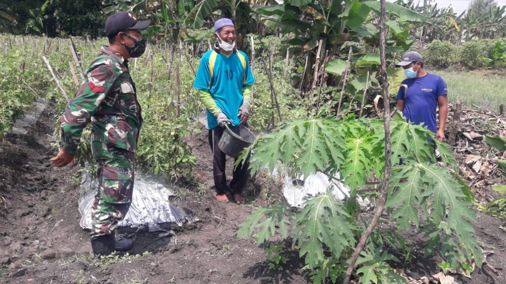 WhatsApp Image 2021-03-26 at 08.55.23