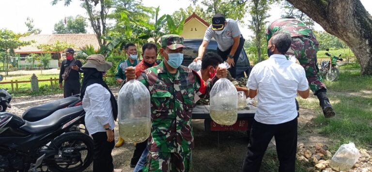 WhatsApp Image 2021-03-26 at 09.22.41