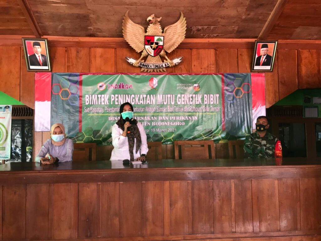 WhatsApp Image 2021-03-26 at 09.32.08