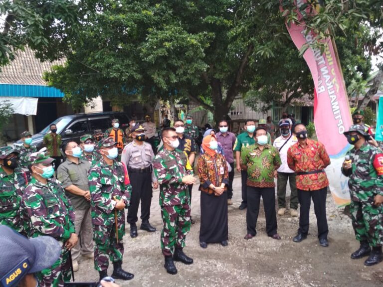 WhatsApp Image 2021-03-26 at 09.43.52