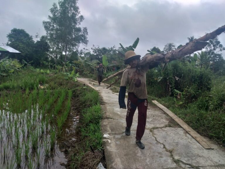 WhatsApp Image 2021-03-26 at 15.03.54