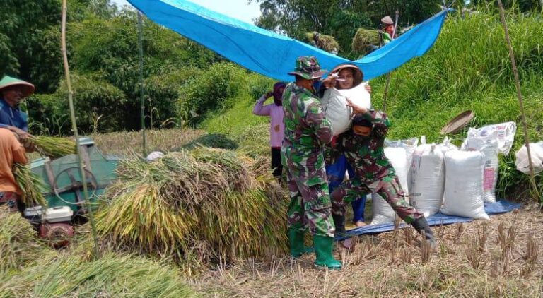 WhatsApp Image 2021-03-27 at 11.27.24