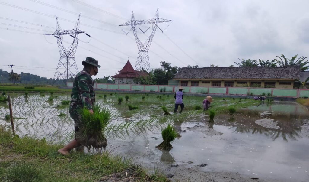 WhatsApp Image 2021-03-27 at 11.41.23