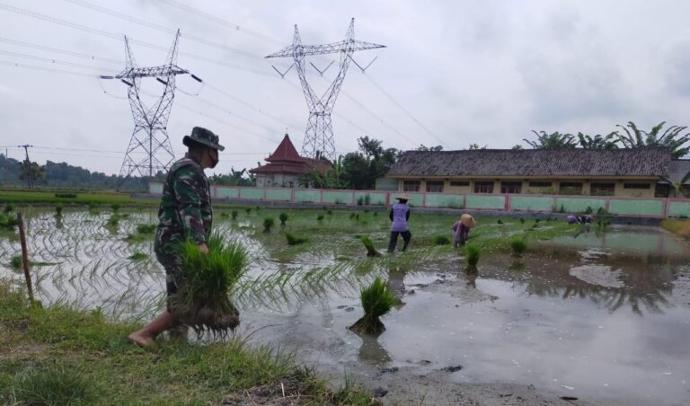 WhatsApp Image 2021-03-27 at 11.41.23