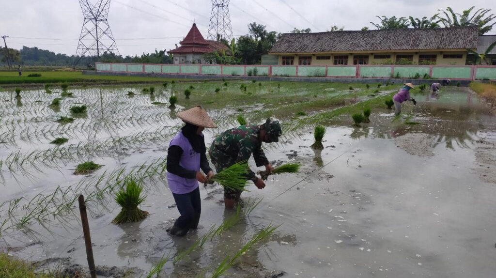 WhatsApp Image 2021-03-27 at 11.41.44