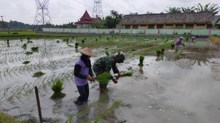 WhatsApp Image 2021-03-27 at 11.41.44