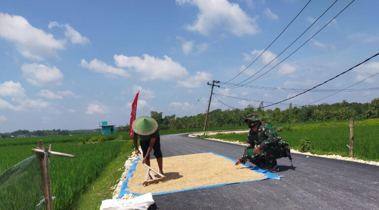 WhatsApp Image 2021-03-27 at 11.45.34