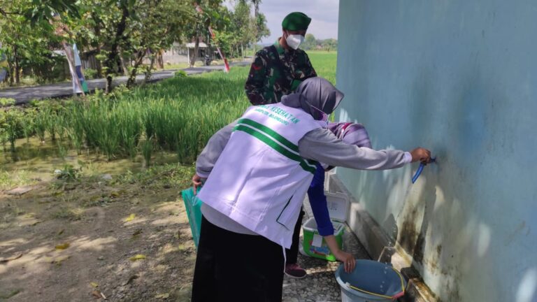 WhatsApp Image 2021-03-27 at 11.50.24