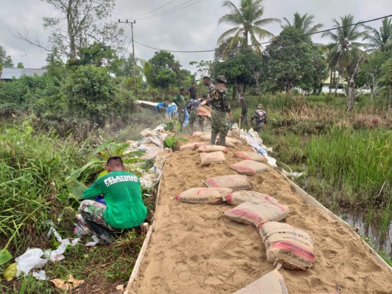 WhatsApp Image 2021-03-27 at 12.02.04