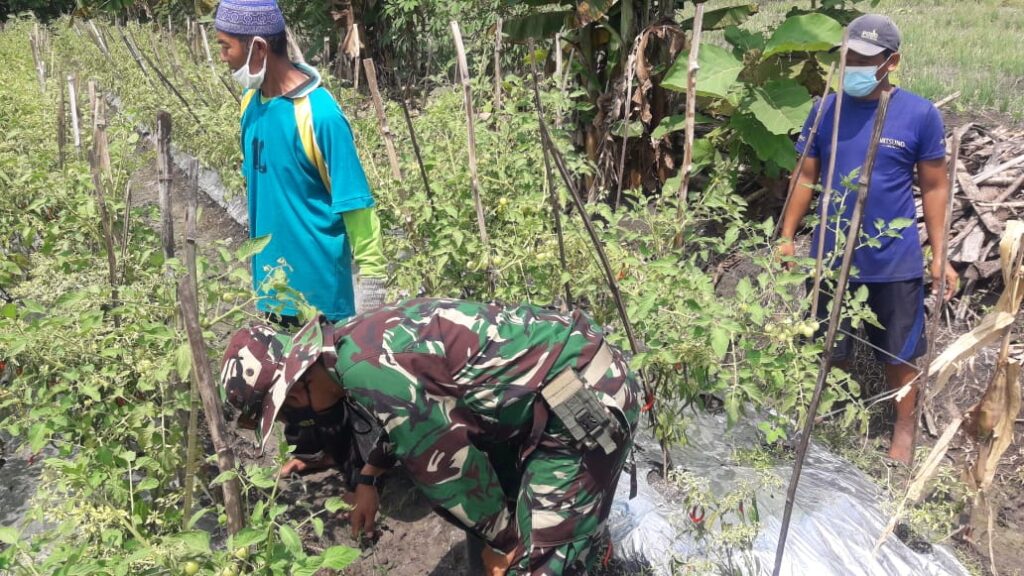 WhatsApp Image 2021-03-27 at 12.07.29