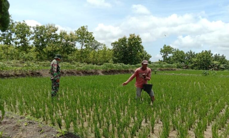 WhatsApp Image 2021-03-27 at 12.07.47