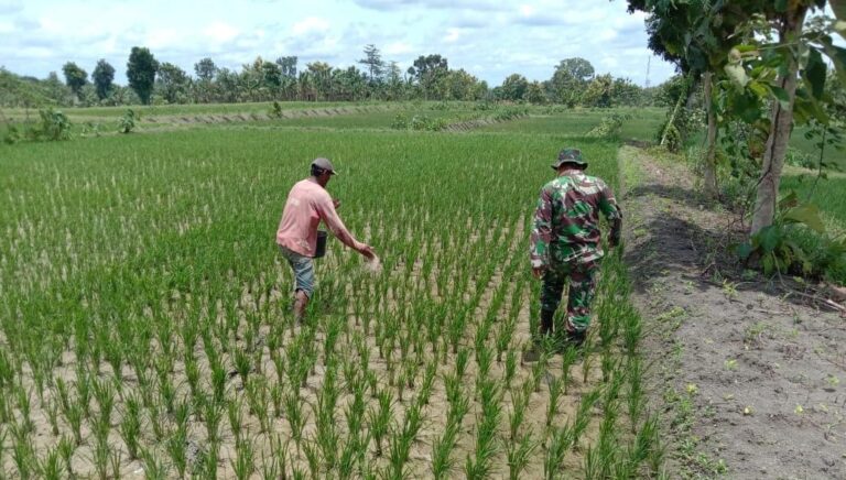 WhatsApp Image 2021-03-27 at 12.08.10