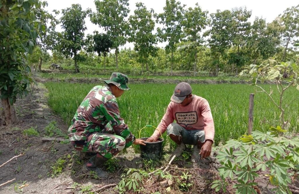 WhatsApp Image 2021-03-27 at 12.10.52