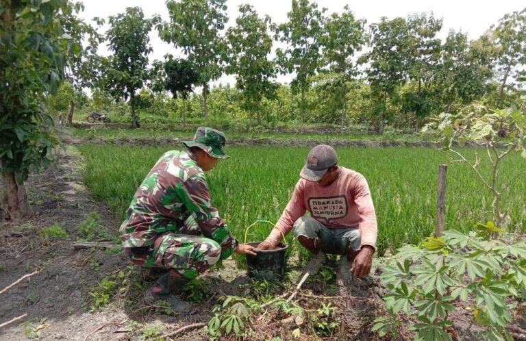 WhatsApp Image 2021-03-27 at 12.10.52