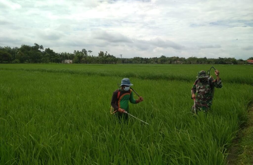 WhatsApp Image 2021-03-28 at 05.52.50