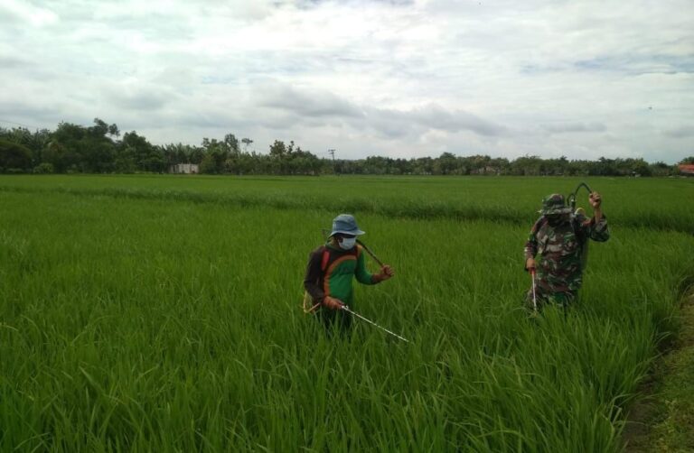 WhatsApp Image 2021-03-28 at 05.52.50