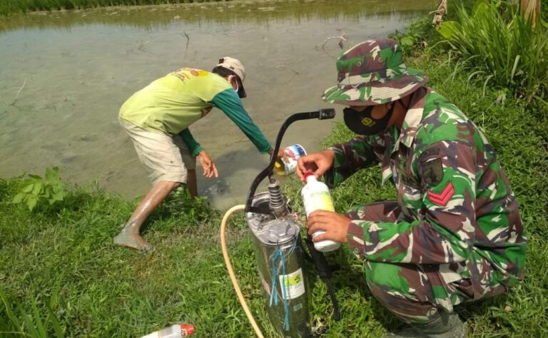 WhatsApp Image 2021-03-28 at 05.53.18