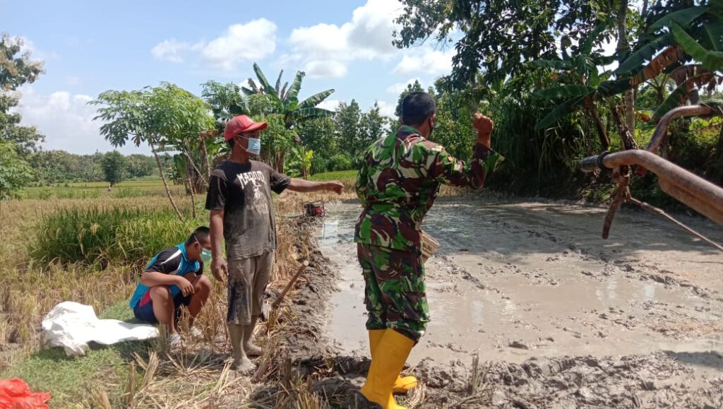 WhatsApp Image 2021-03-28 at 05.54.36