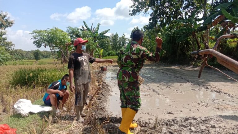 WhatsApp Image 2021-03-28 at 05.54.36