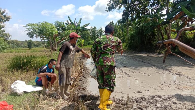 WhatsApp Image 2021-03-28 at 05.55.41