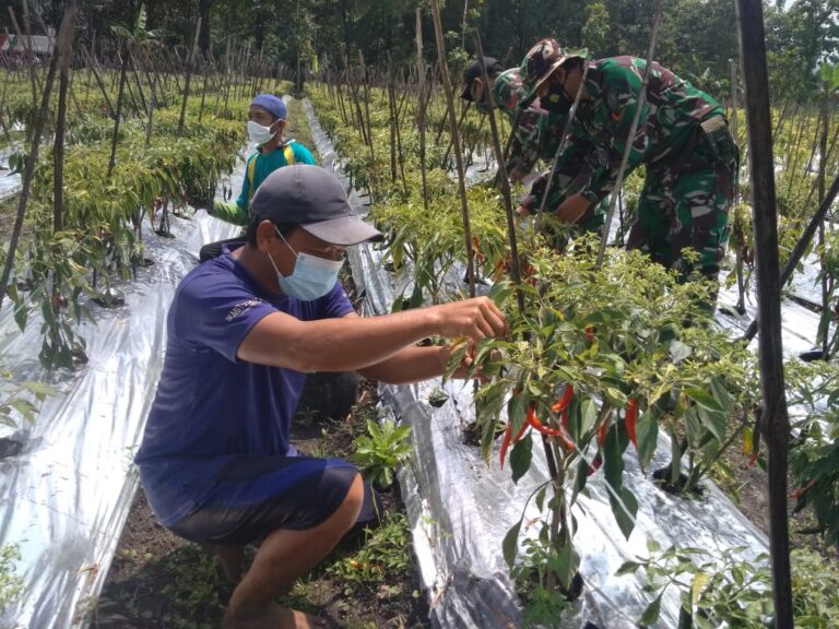 WhatsApp Image 2021-03-28 at 06.03.31