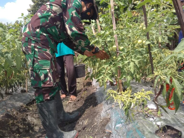 WhatsApp Image 2021-03-28 at 06.05.17