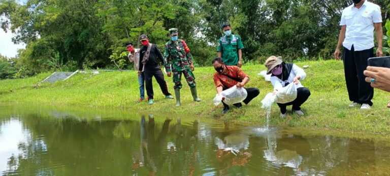 WhatsApp Image 2021-03-28 at 06.05.59