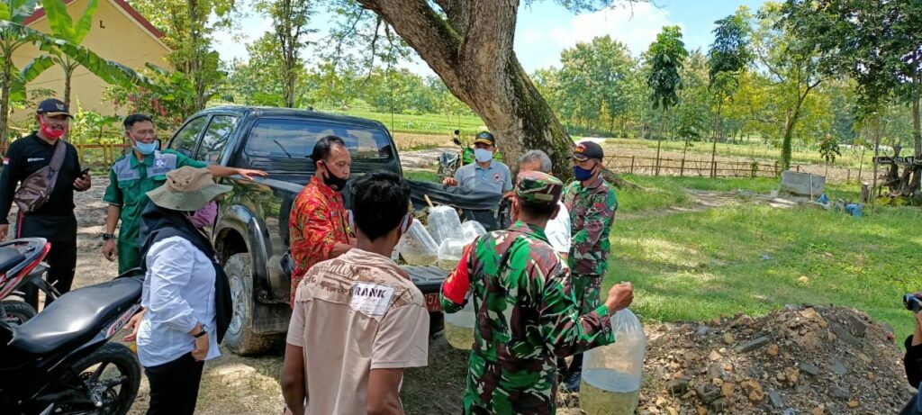 WhatsApp Image 2021-03-28 at 06.06.46