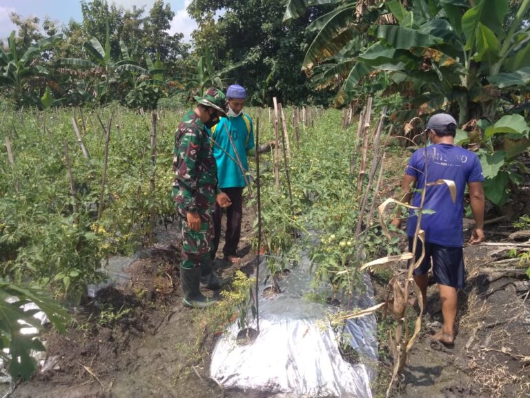 WhatsApp Image 2021-03-28 at 06.07.10