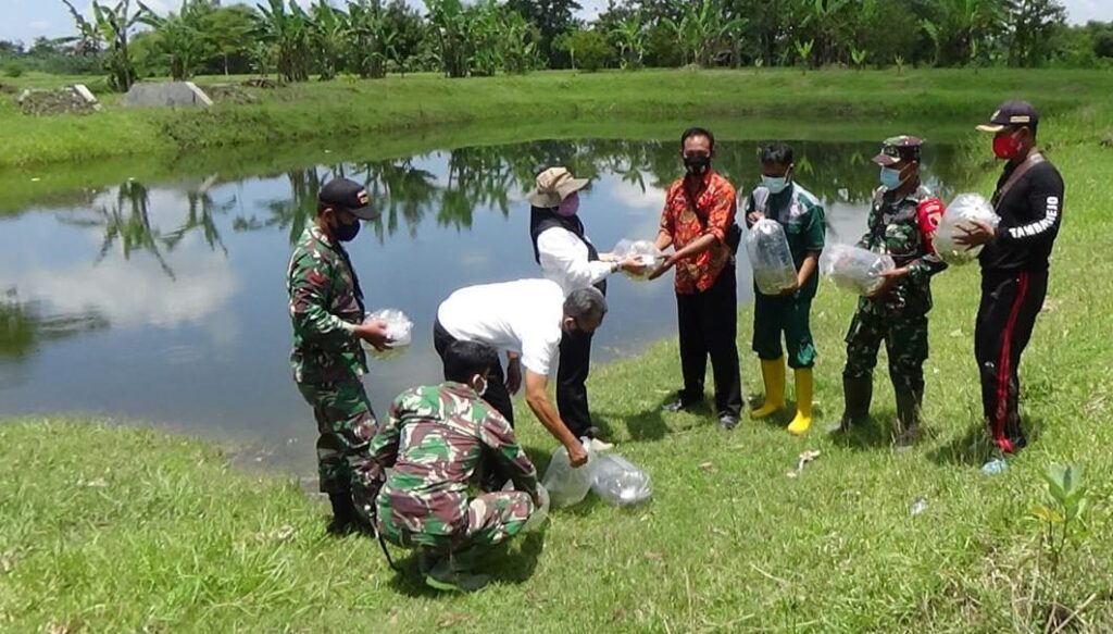 WhatsApp Image 2021-03-28 at 06.23.44