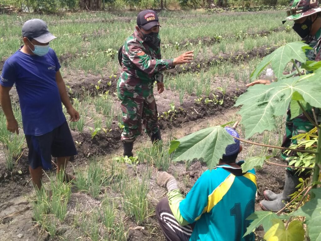 WhatsApp Image 2021-03-28 at 06.28.36