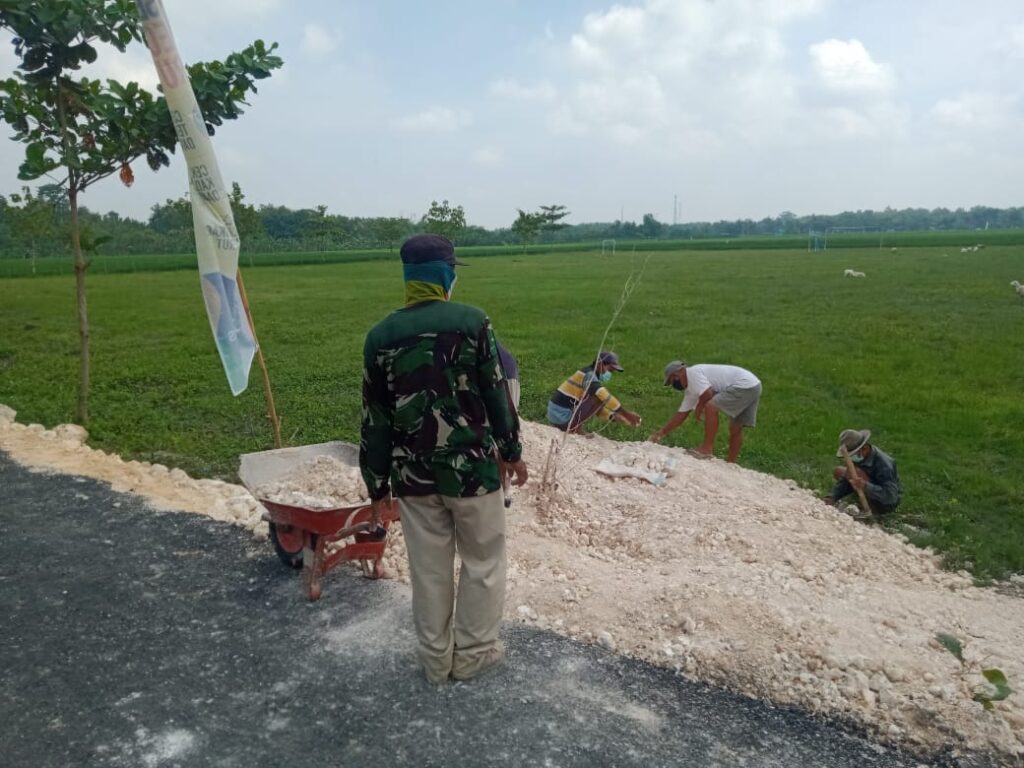 WhatsApp Image 2021-03-28 at 06.32.54