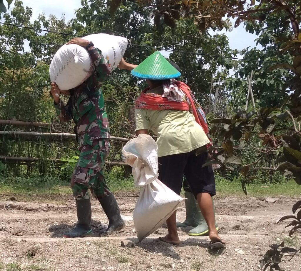 WhatsApp Image 2021-03-28 at 06.44.51