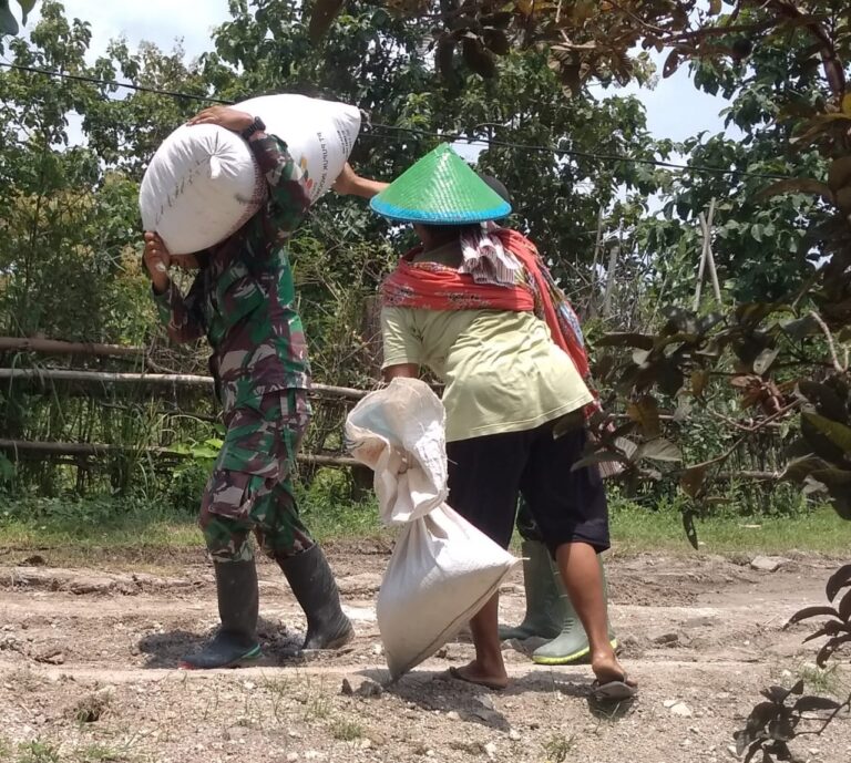 WhatsApp Image 2021-03-28 at 06.44.51