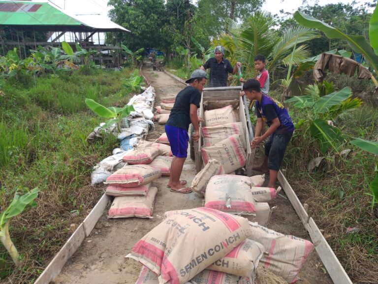 WhatsApp Image 2021-03-28 at 12.28.35