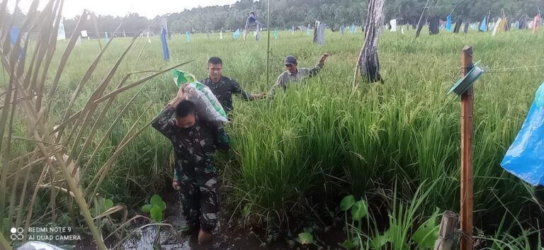 WhatsApp Image 2021-03-28 at 21.26.22