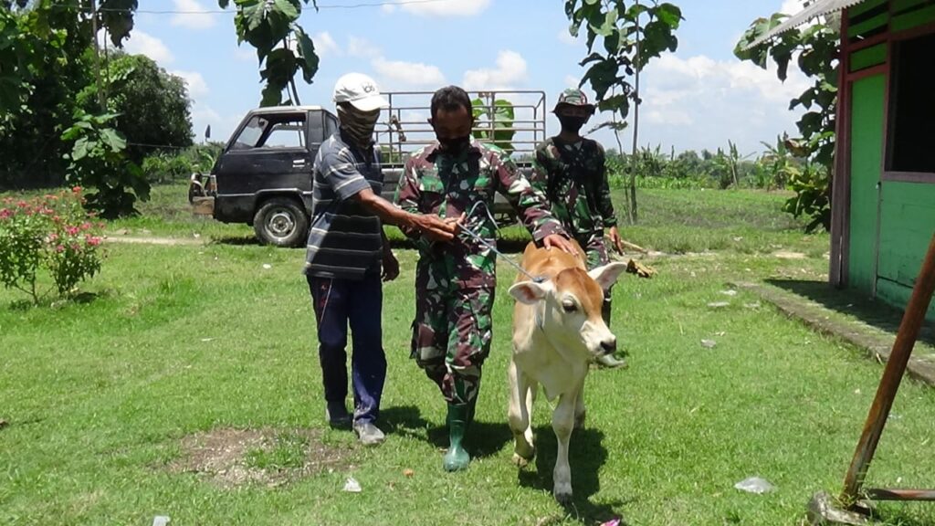 WhatsApp Image 2021-03-29 at 08.00.04