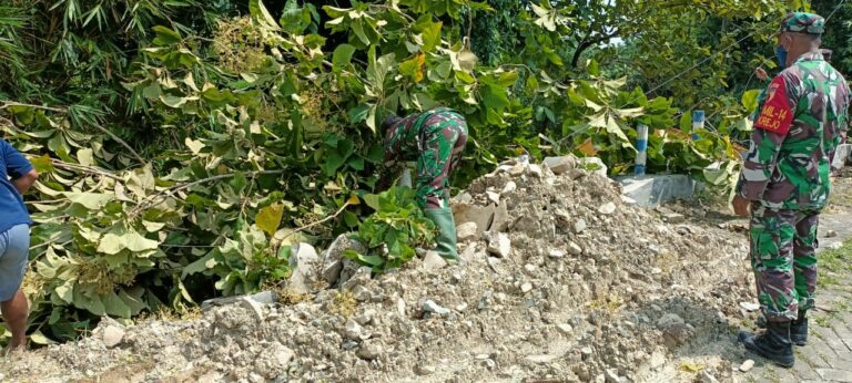 WhatsApp Image 2021-03-29 at 08.11.15