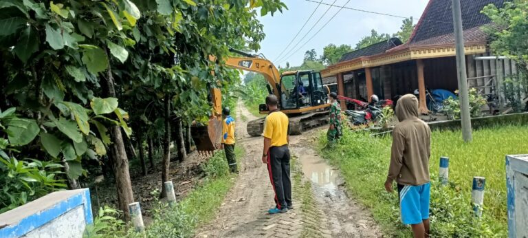 WhatsApp Image 2021-03-29 at 08.11.56